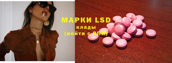 PSILOCYBIN Алзамай