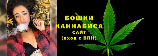 СК Аркадак