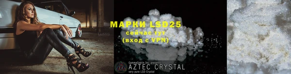 PSILOCYBIN Алзамай